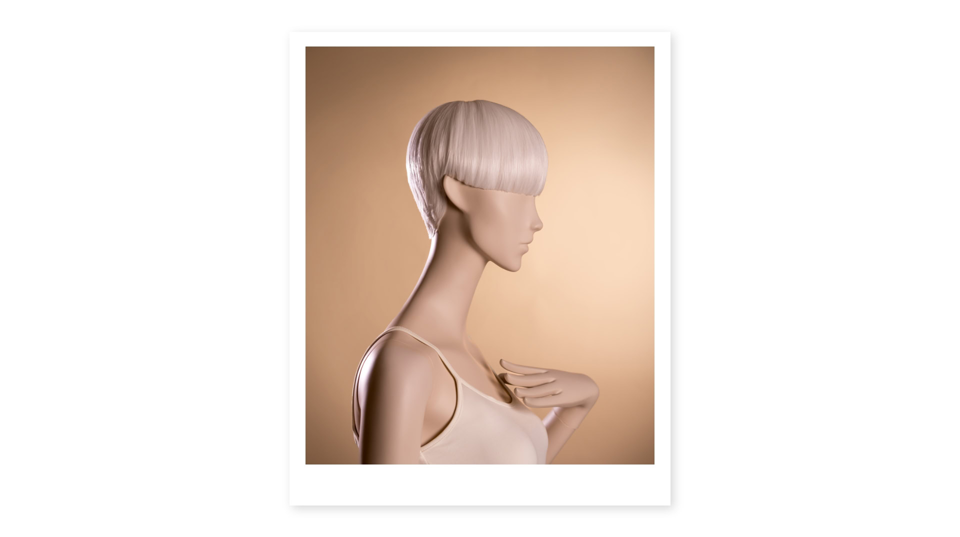 White Wigs - Slider Desktop_1